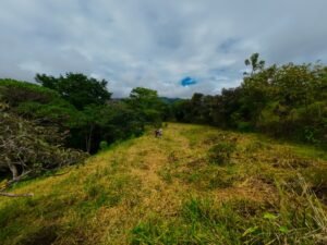 DJI_20241104112303_0015_D