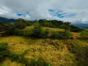 DJI_20241104112311_0016_D