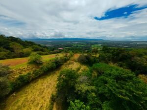 DJI_20241104112326_0018_D