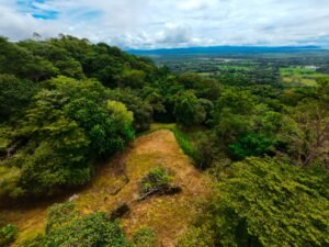 DJI_20241104112410_0028_D