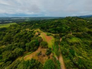 DJI_20241104112428_0031_D