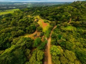 DJI_20241104112439_0033_D