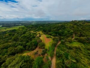 DJI_20241104112441_0034_D