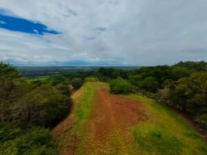 DJI_20241104112454_0035_D