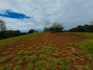 DJI_20241104112505_0036_D