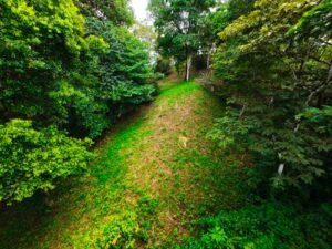 DJI_20241104114418_0053_D