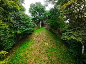 DJI_20241104114423_0054_D