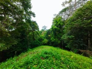 DJI_20241104114437_0055_D