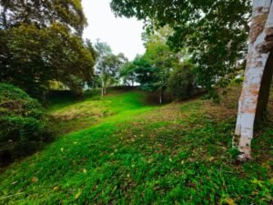 DJI_20241104114445_0057_D