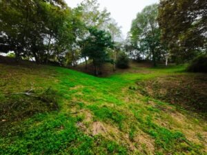 DJI_20241104114459_0059_D