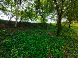 DJI_20241104114519_0062_D