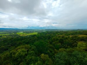 DJI_20241104114632_0065_D