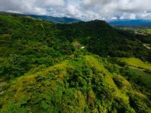 DJI_20241104123026_0099_D