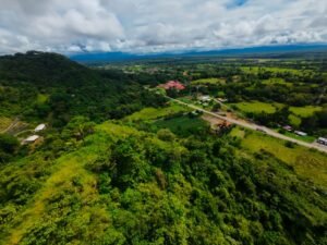 DJI_20241104123045_0103_D