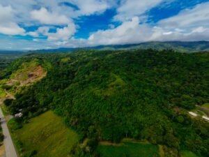 DJI_20241104130032_0118_D