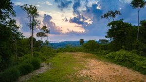 DJI_20250329172806_0390_D (1)