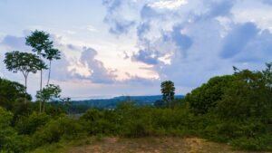 DJI_20250329172831_0391_D (1)