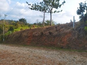 IMG_20240312_163903049