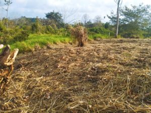 IMG_20240312_163958205