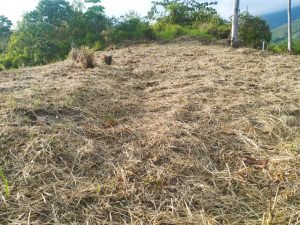 IMG_20240312_164055505