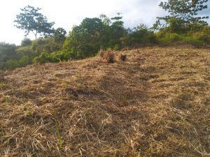 IMG_20240312_164107315