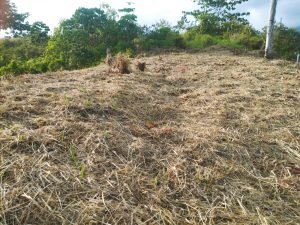 IMG_20240312_164152875