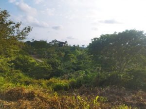 IMG_20240312_164313331