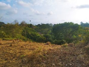 IMG_20240312_164507377