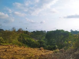 IMG_20240312_164530526