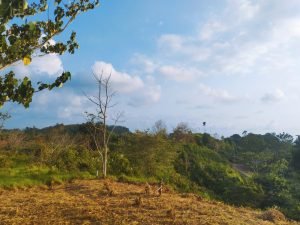 IMG_20240312_164535081