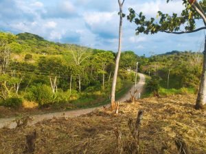 IMG_20240312_164610796