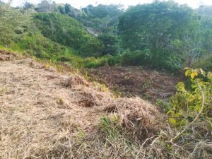 IMG_20240312_164708770