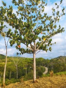 IMG_20240312_164723342