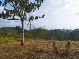 IMG_20240312_164749983