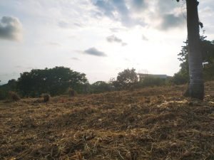 IMG_20240312_164831678