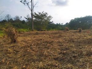 IMG_20240312_164834303