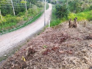 IMG_20240312_164838223