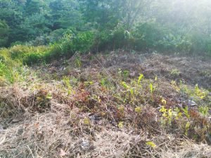 IMG_20240312_164909056