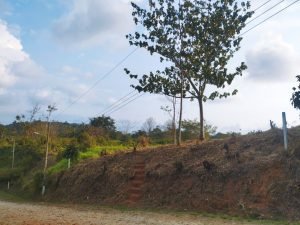 IMG_20240312_165107473