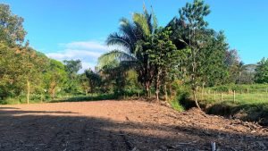 Optimized by JPEGmini 3.18.21.233342501-TBTBLNP 0x50dba82c