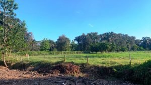 Optimized by JPEGmini 3.18.21.233342501-TBTBLNP 0x10b5fc3a