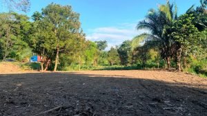 Optimized by JPEGmini 3.18.21.233342501-TBTBLNP 0x50dba82c