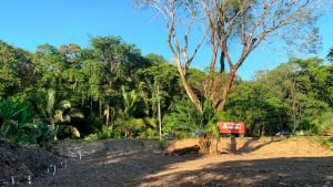 Optimized by JPEGmini 3.18.21.233342501-TBTBLNP 0x541b39db