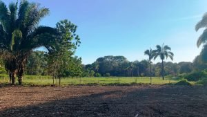 Optimized by JPEGmini 3.18.21.233342501-TBTBLNP 0x37d781f3