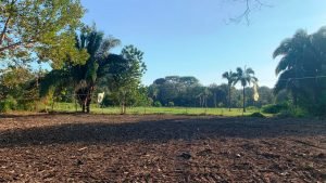 Optimized by JPEGmini 3.18.21.233342501-TBTBLNP 0x50dba82c