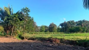 Optimized by JPEGmini 3.18.21.233342501-TBTBLNP 0x50dba82c