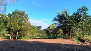 Optimized by JPEGmini 3.18.21.233342501-TBTBLNP 0x905c306b