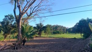 Optimized by JPEGmini 3.18.21.233342501-TBTBLNP 0x905c306b