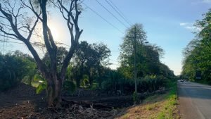 Optimized by JPEGmini 3.18.21.233342501-TBTBLNP 0x50dba82c