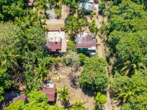 Matapalo-Lot-Full-Lot-Backview